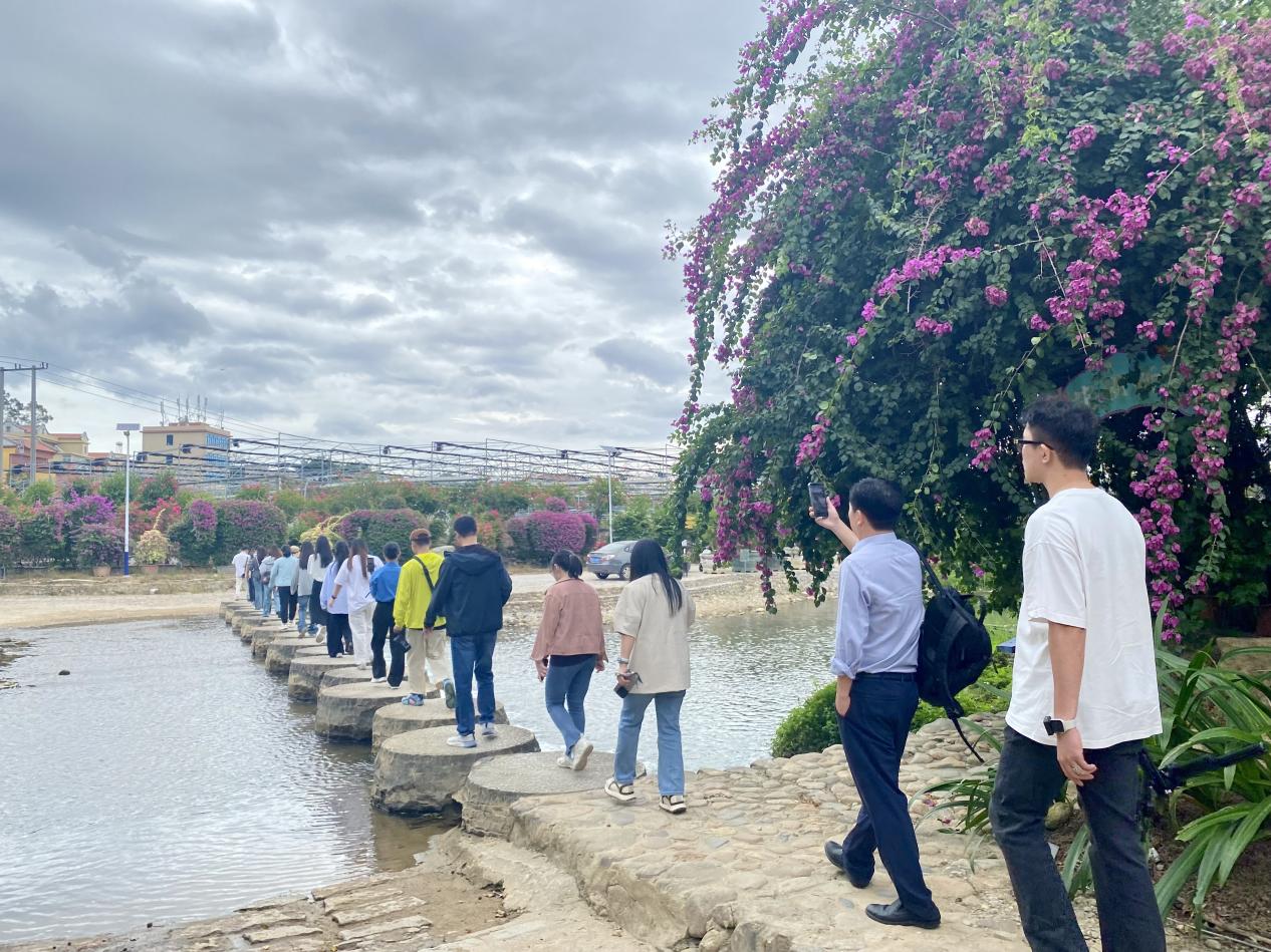 福建电商助农联盟走进同安：花香蟹甜稻飘香一村一品铺就振兴路(图4)