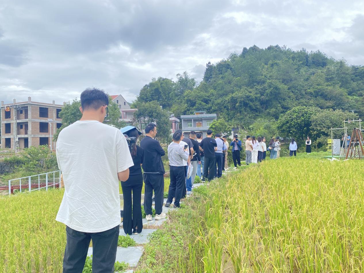 福建电商助农联盟走进同安：花香蟹甜稻飘香一村一品铺就振兴路(图5)